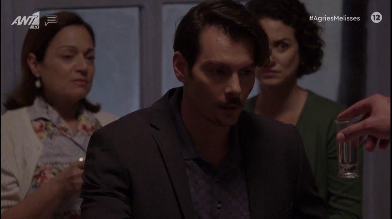 Άγριες-Μέλισσες-Κωνσταντή