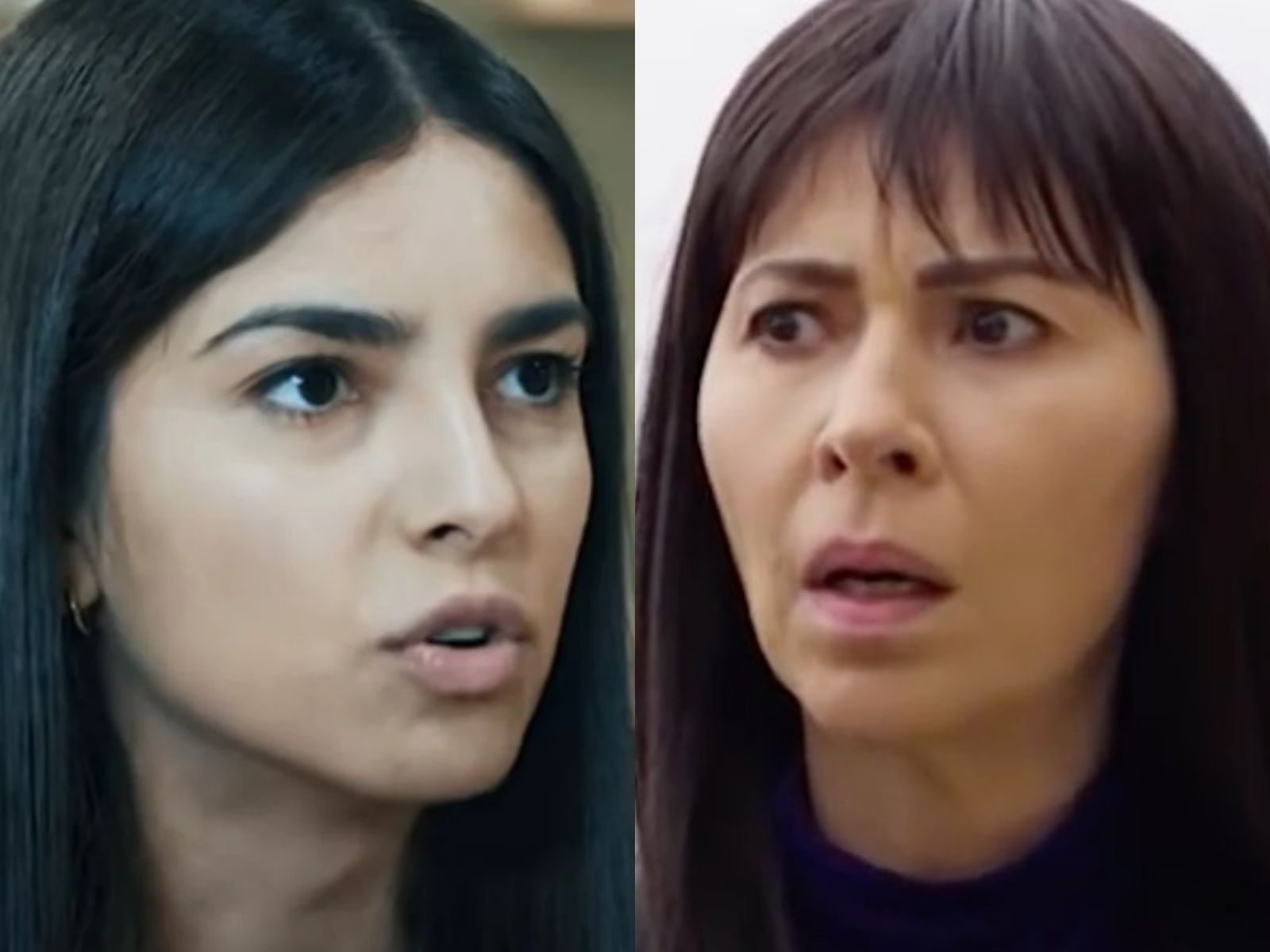 Η Γη της Ελιάς-Βασιλική-Αρετή-