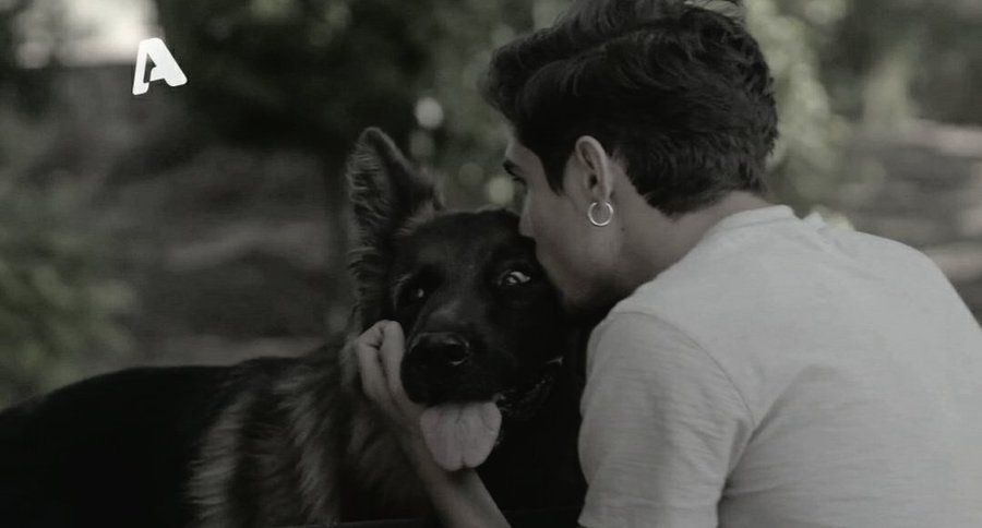 Σασμός-Πετρής-Μανταρίνα-