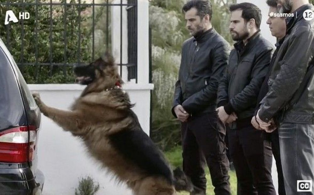 Σασμός-Μανταρίνα-