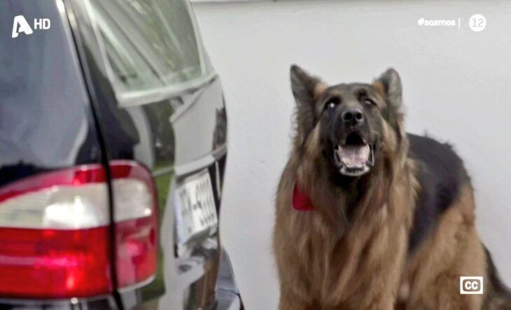 Σασμός-Μανταρίνα-