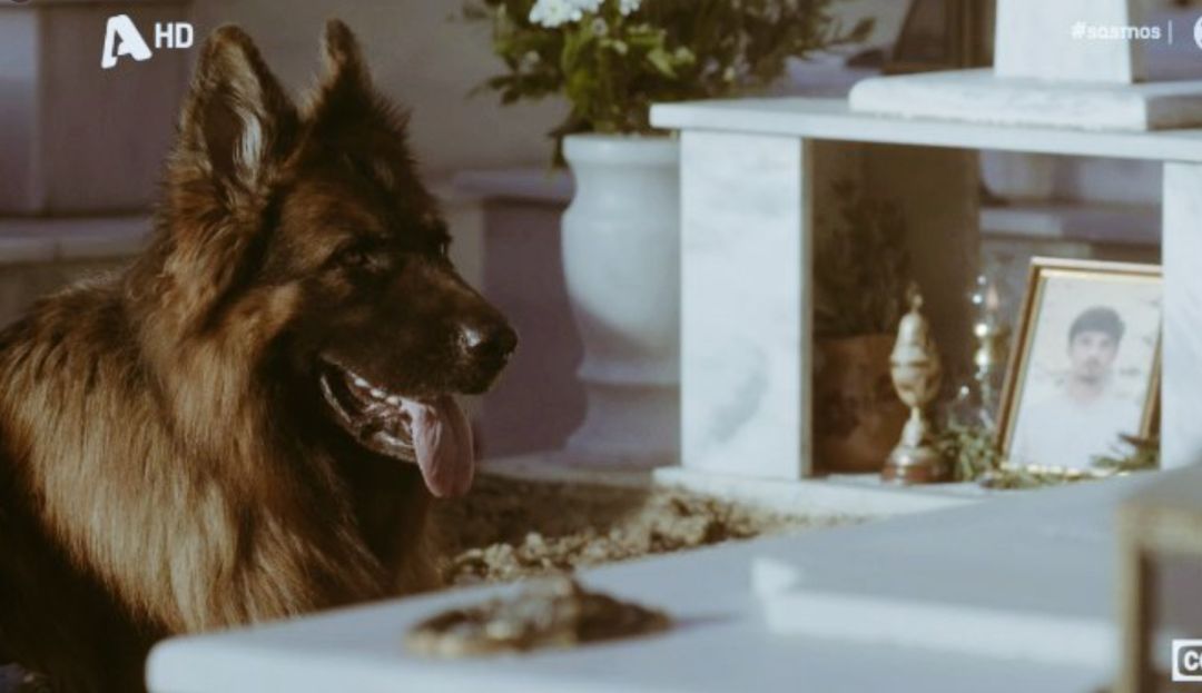 Σασμός-Μανταρίνα-