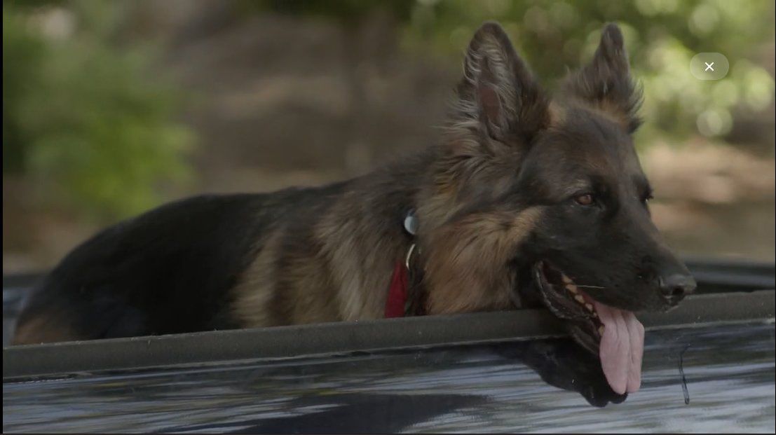 Σασμός: Ο Πετρής με την Μανταρίνα στην σκηνή που θα καθηλώσει