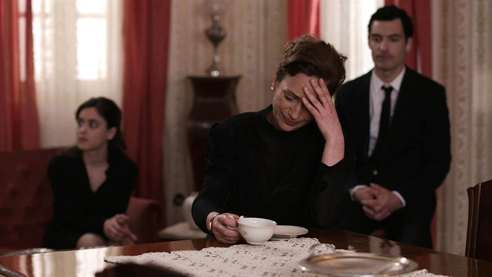 Άγριες-Μέλισσες-Αιμιλία Άγριες-Μέλισσες-Αιμιλία