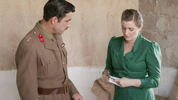 Άγριες-Μέλισσες-Ζάχος