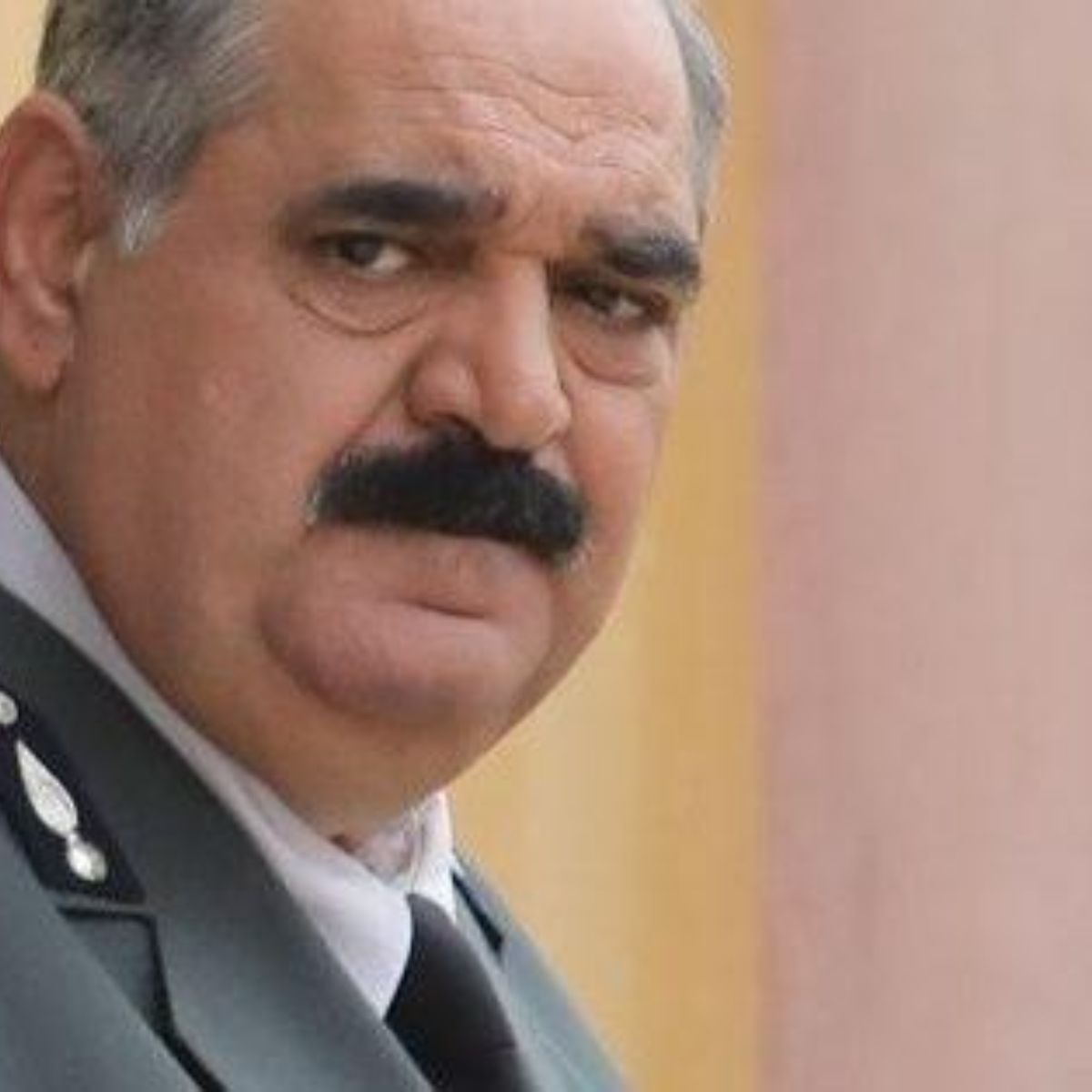 Άγριες-Μέλισσες-Προύσαλης