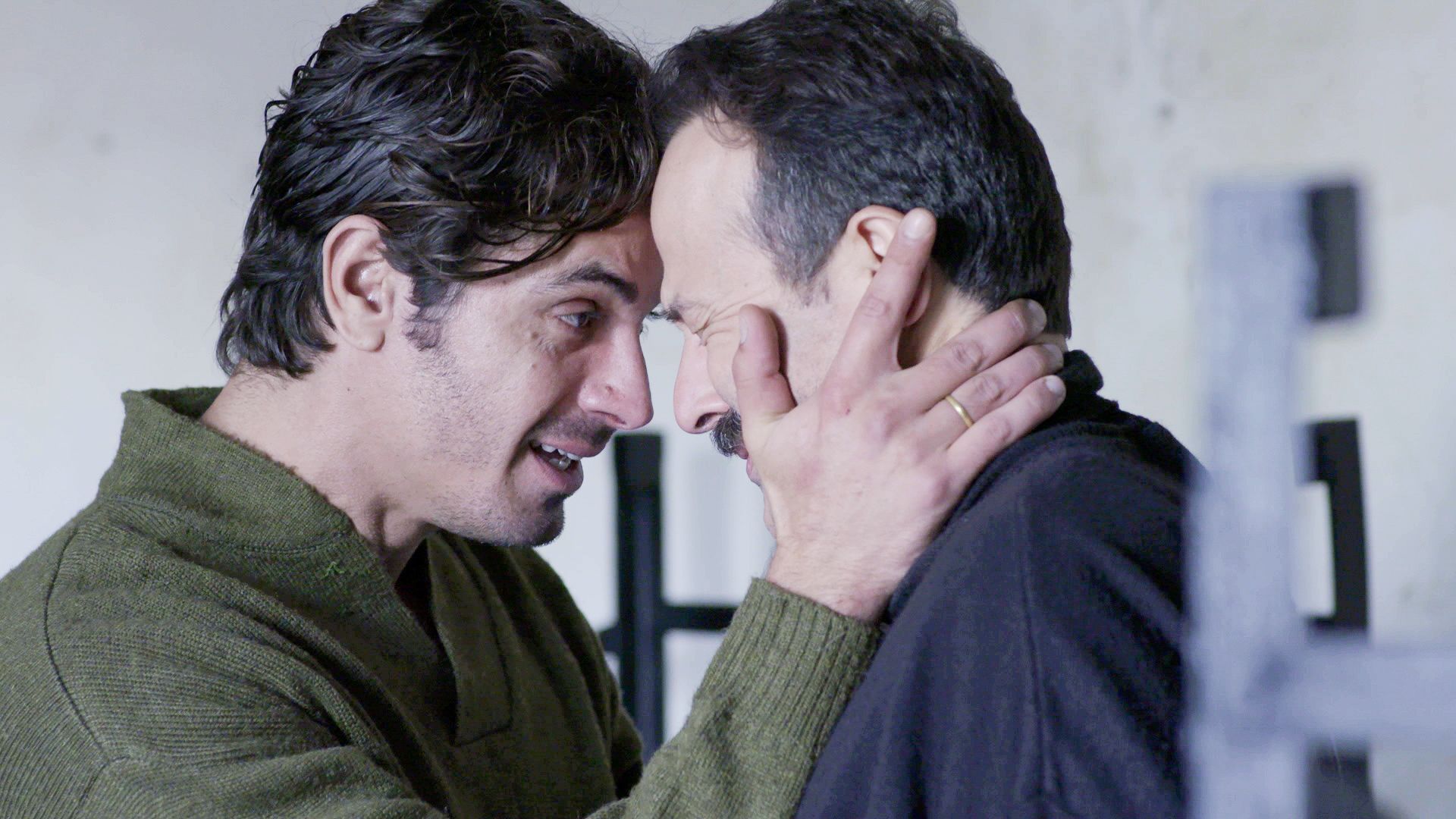 Άγριες-Μέλισσες-Προκόπης-Λάμπρος