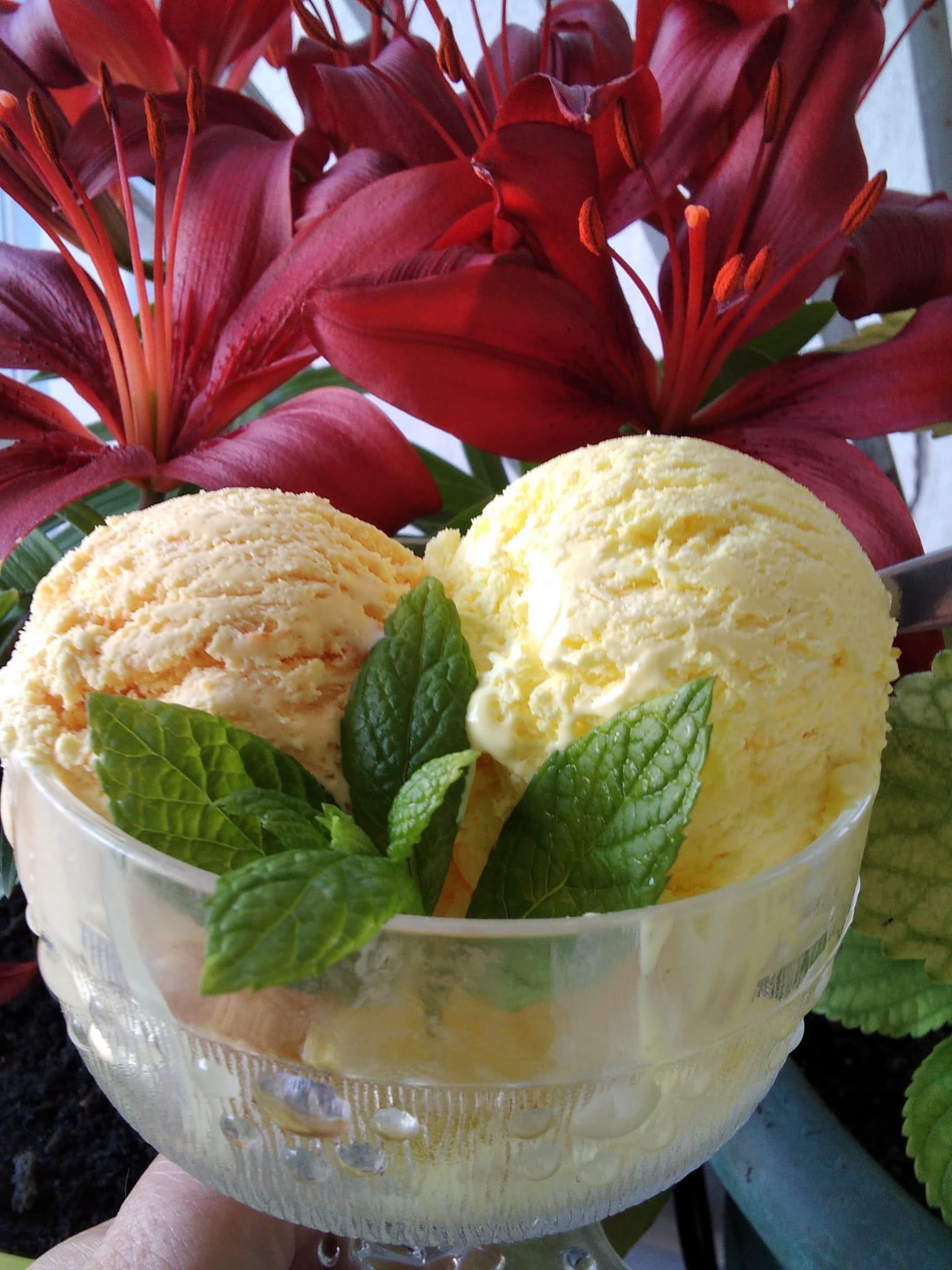 20 συνταγές για παγωτό