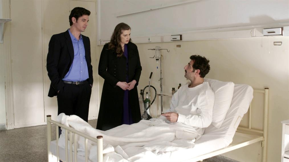 Άγριες-Μέλισσες-Λάμπρος-Λενιό-Ζάχος