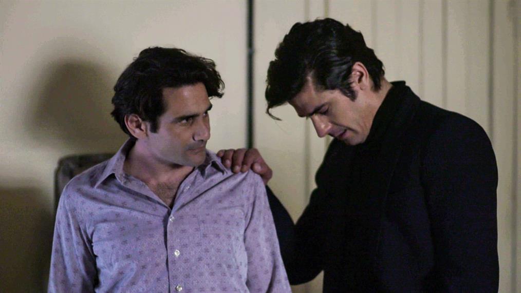 Άγριες-Μέλισσες-Πέτρος-Λάμπρος