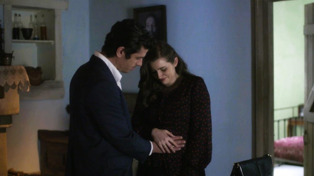 Άγριες-Μέλισσες-Λάμπρος-Λενιό