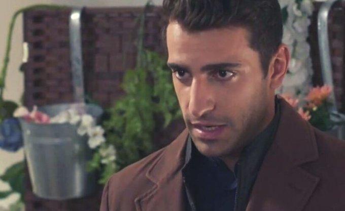 Η-Γη-της-Ελιάς-Αλέξης