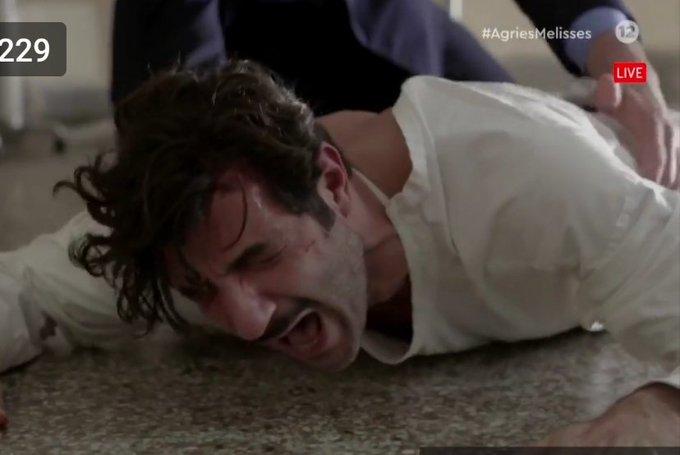 Άγριες-Μέλισσες-Ζάχος