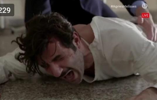 Άγριες Μέλισσες-Ζάχος-