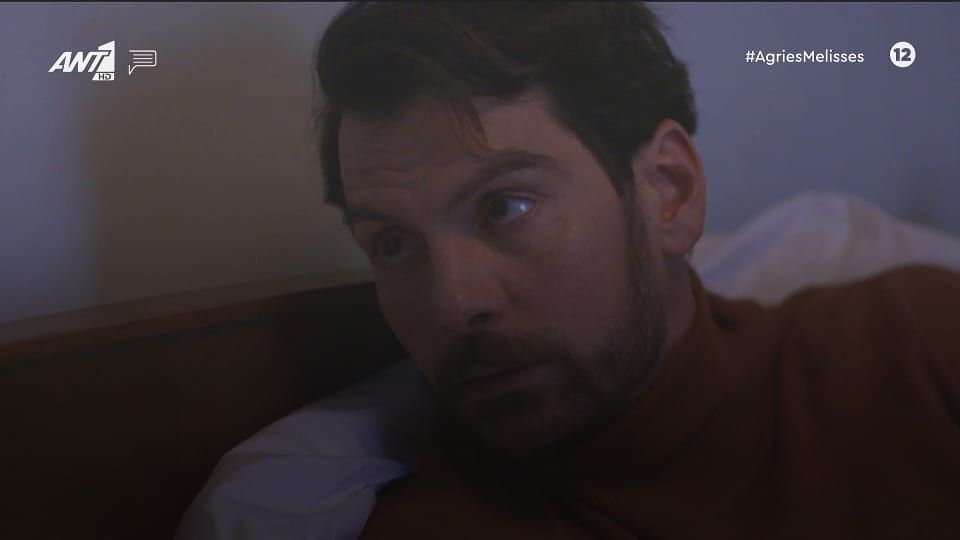 Άγριες Μέλισσες-Κωνσταντής-