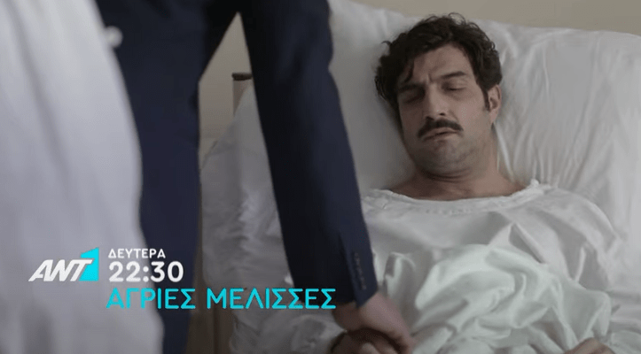 Άγριες Μέλισσες-Ζάχος- Άγριες Μέλισσες-Ζάχος-