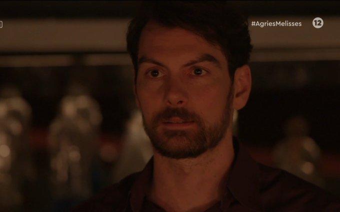 Άγριες-Μέλισσες-Κωνσταντής