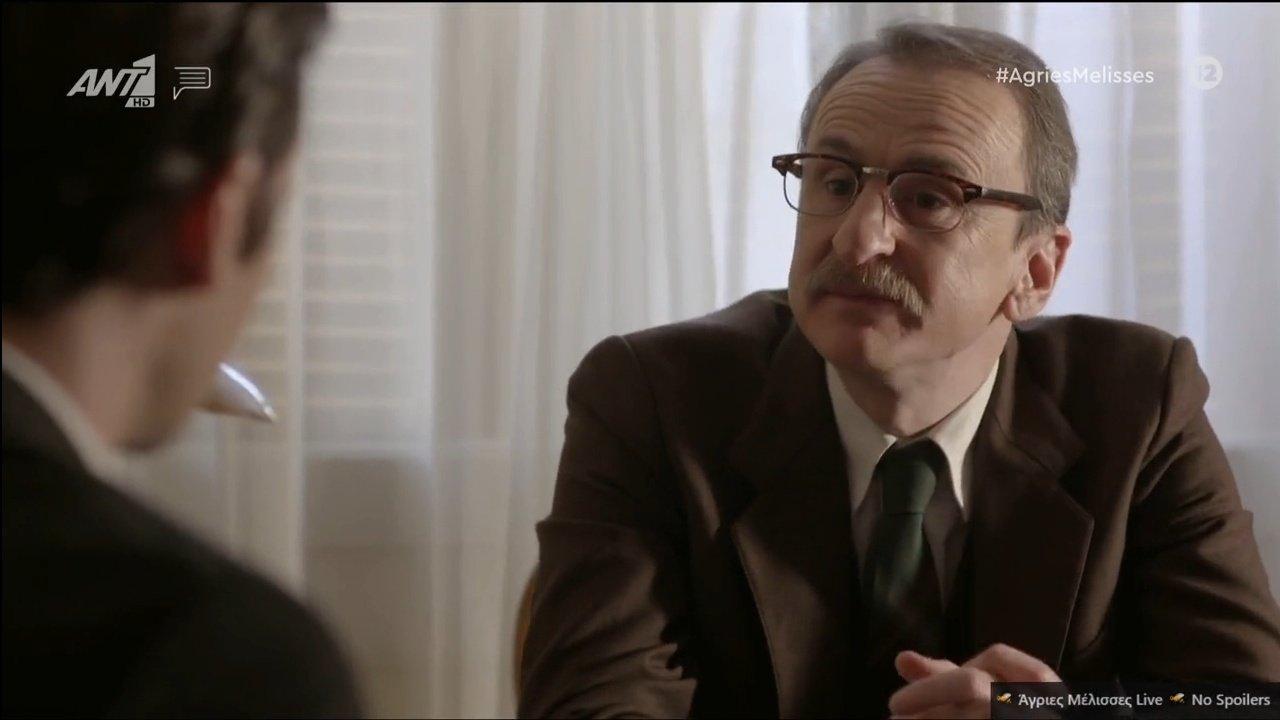 Άγριες-Μέλισσες-Ξανθός