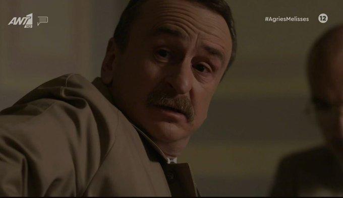 Άγριες-Μέλισσες-Ξανθός