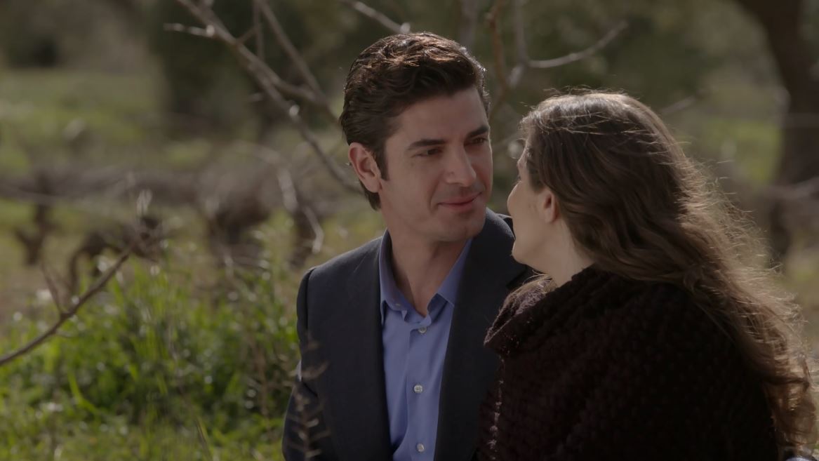 Άγριες-Μέλισσες-Ελένη-Λάμπρος