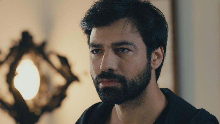 Η-Γη-της-Ελιάς-Ανδρέας-Γεωργίου Η-Γη-της-Ελιάς-Ανδρέας-Γεωργίου