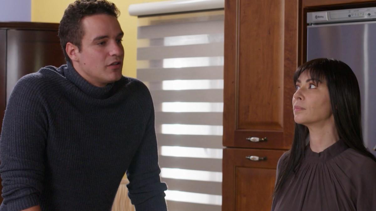 Η Γη της Ελιάς-Στέφανος-Αρετή-