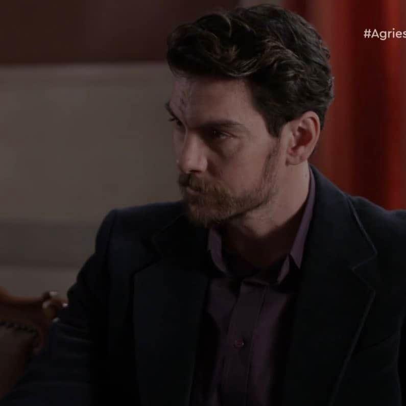 Άγριες Μέλισσες-Κωνσταντής-