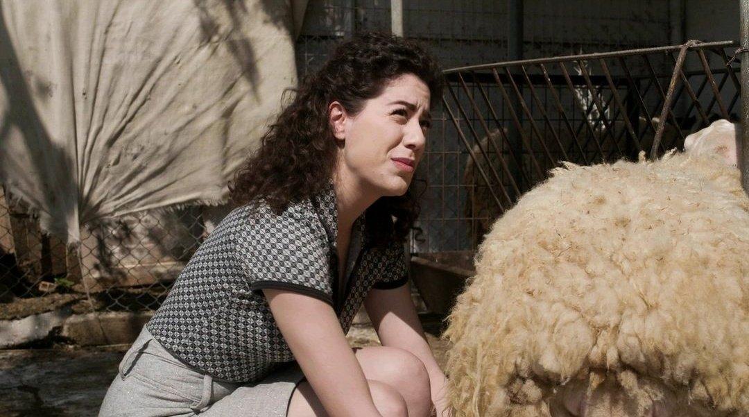 Άγριες-Μέλισσες-Πηνελόπη