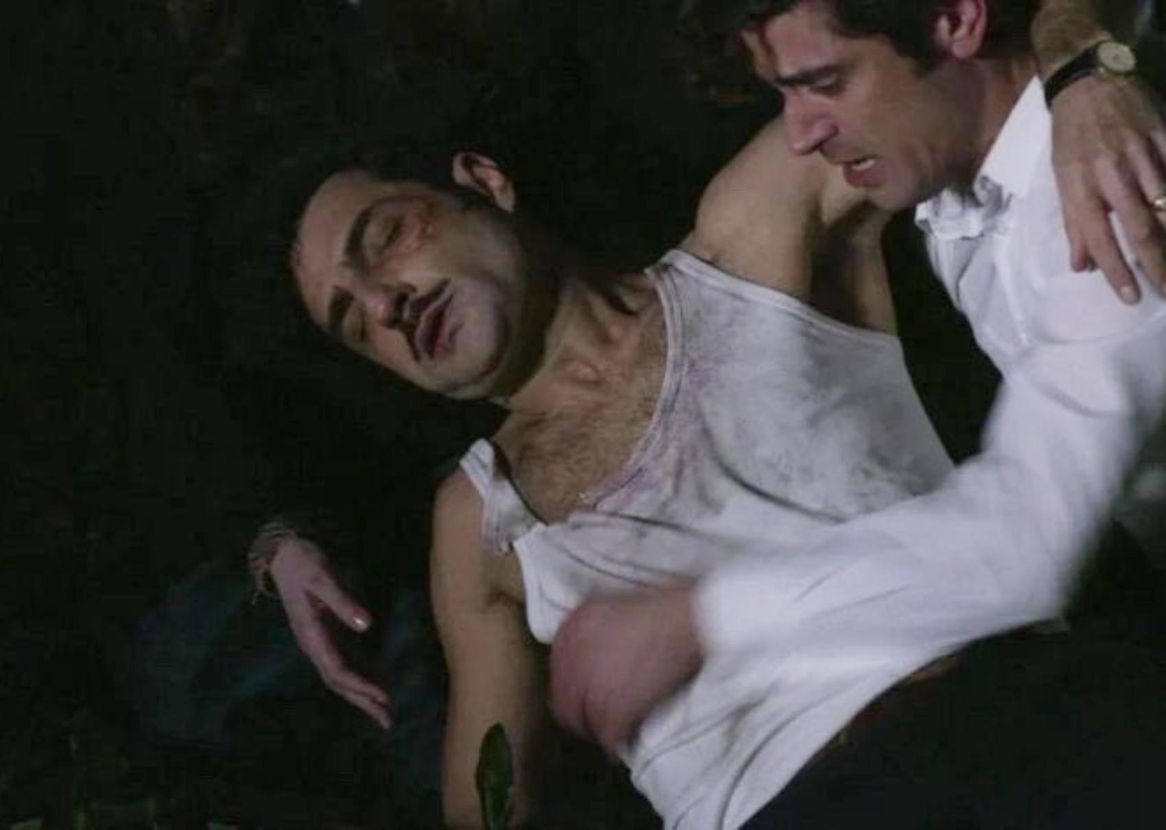 Άγριες Μέλισσες-Ζάχος-