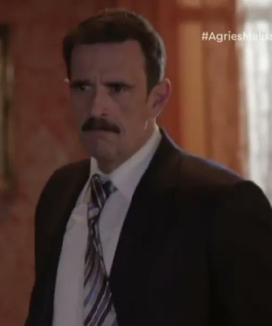 Άγριες-Μέλισσες-Δούκας