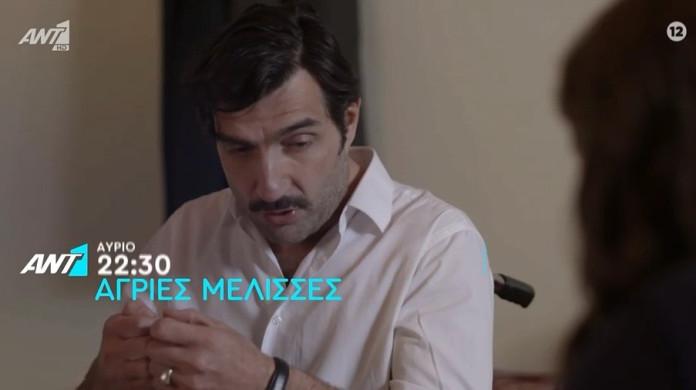 Άγριες Μέλισσες-Ζάχος-