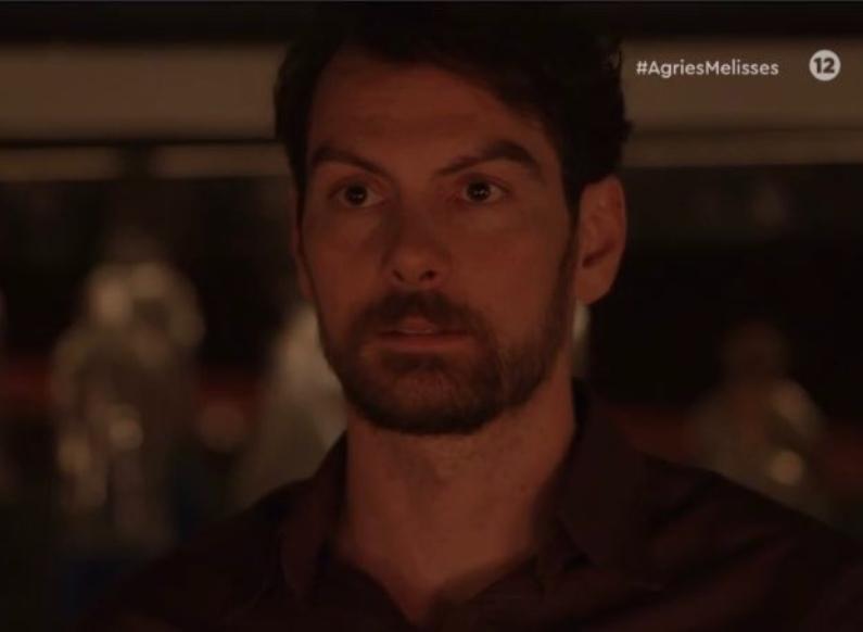 Άγριες Μέλισσες-Κωνσταντής-