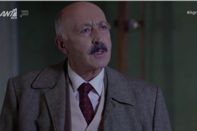 Άγριες-Μέλισσες-Νέστορας 