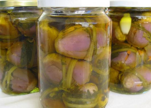 Μελιτζάνες-τουρσί Μελιτζάνες-τουρσί