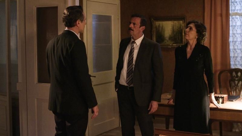 Άγριες-Μέλισσες-Ακύλας-Δούκας-Μυρσίνη