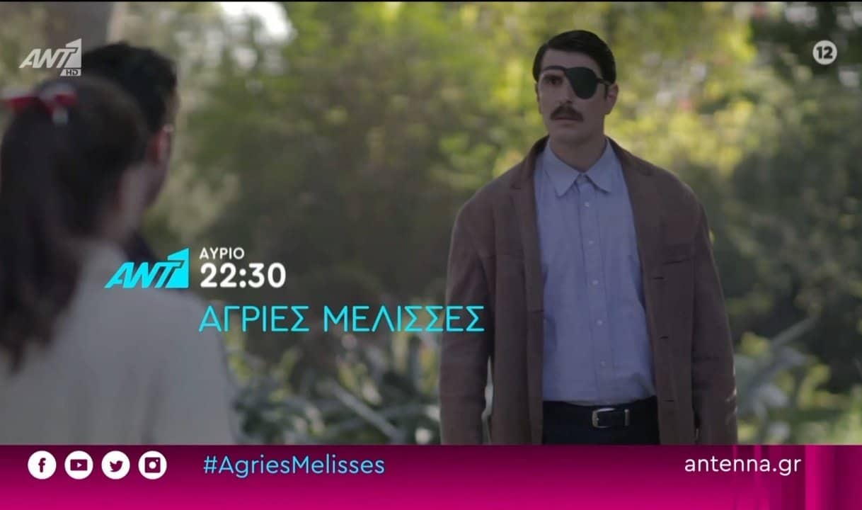 Άγριες Μέλισσες-Μελέτης-