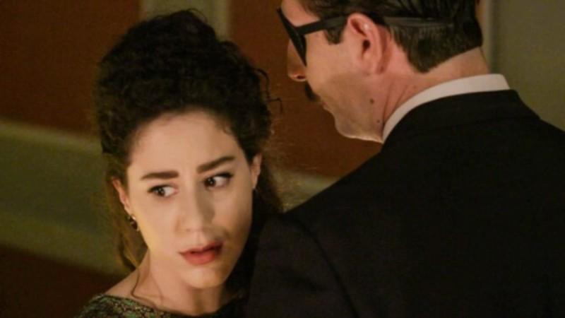 Άγριες Μέλισσες-Πηνελόπη-Μελέτης-