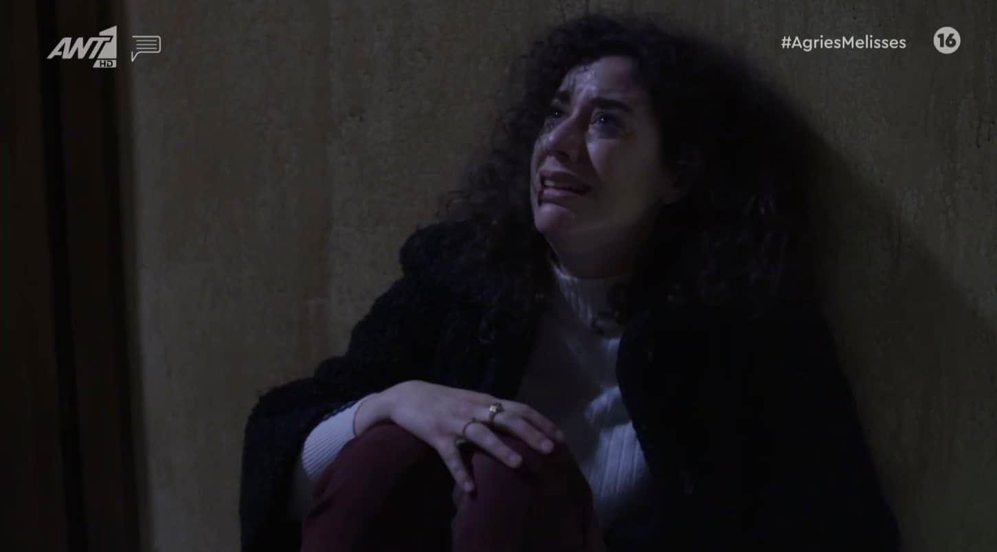 Άγριες Μέλισσες: Ο Κωνσταντής βυθίζεται στις τύψεις όσο η Πηνελόπη ανακαλύπτει την αλήθεια