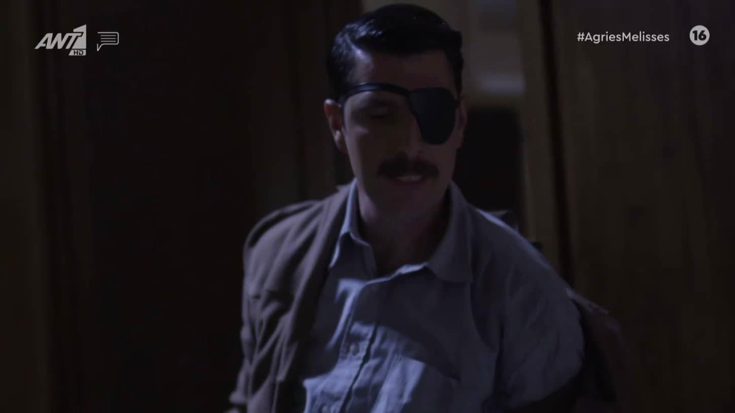 Άγριες Μέλισσες-Μελέτης- Άγριες Μέλισσες-Μελέτης-