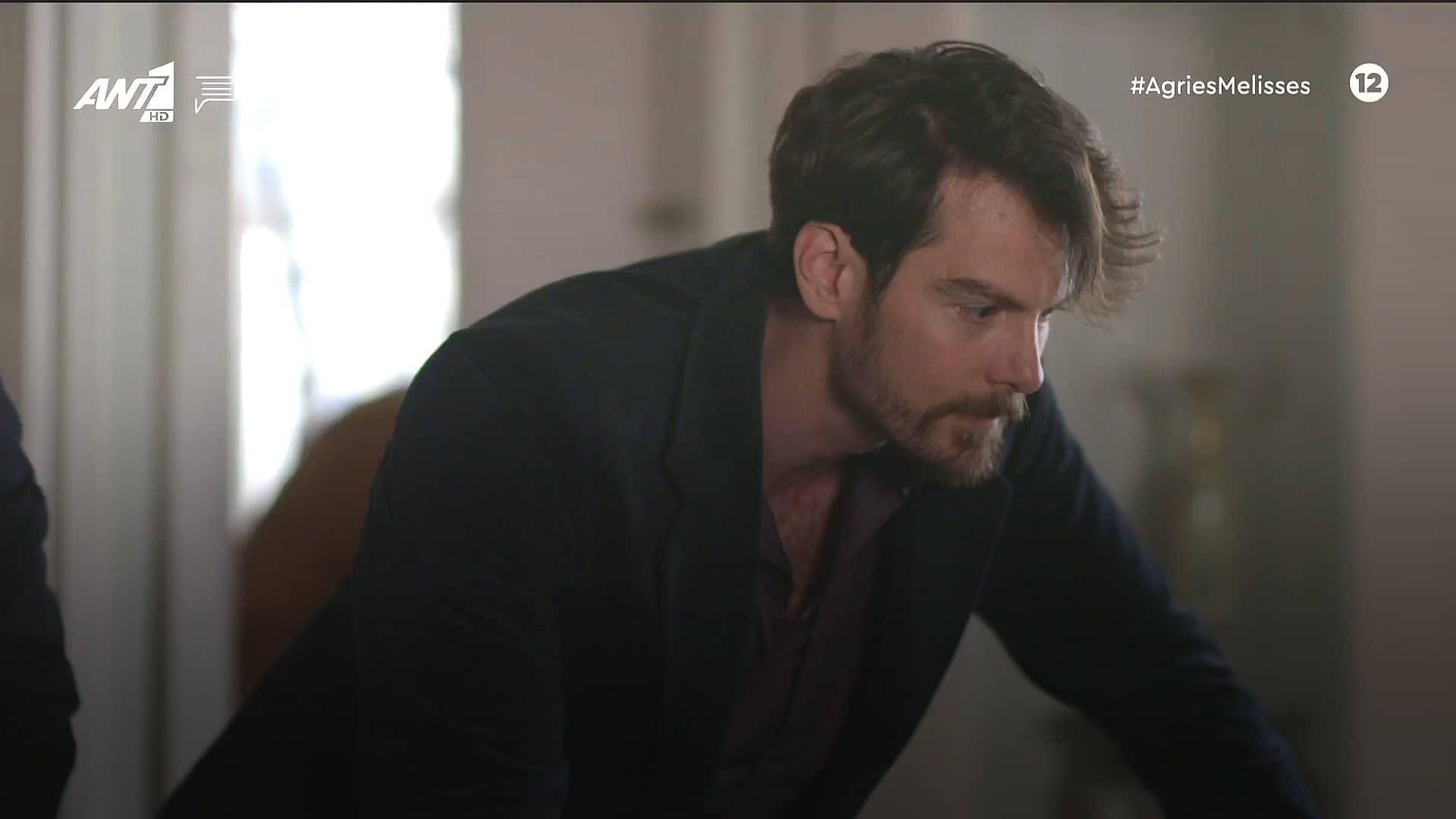 Άγριες Μέλισσες-Κωνσταντής- Άγριες Μέλισσες-Κωνσταντής-