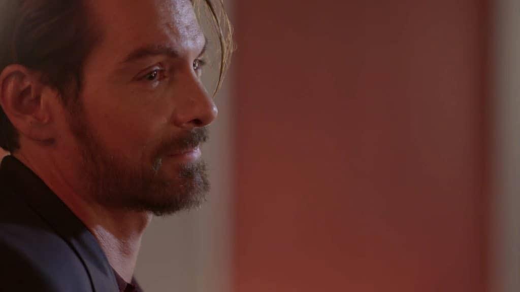 Άγριες Μέλισσες-Κωνσταντής- Άγριες Μέλισσες-Κωνσταντής-