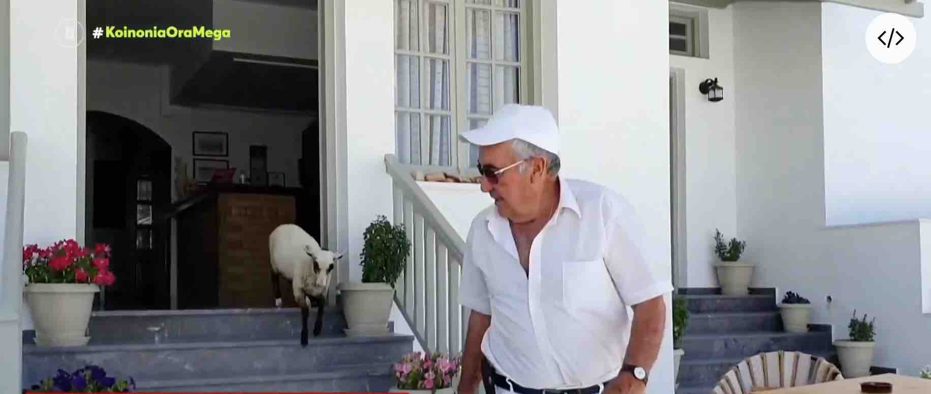 Μήλος-Πρόβατο