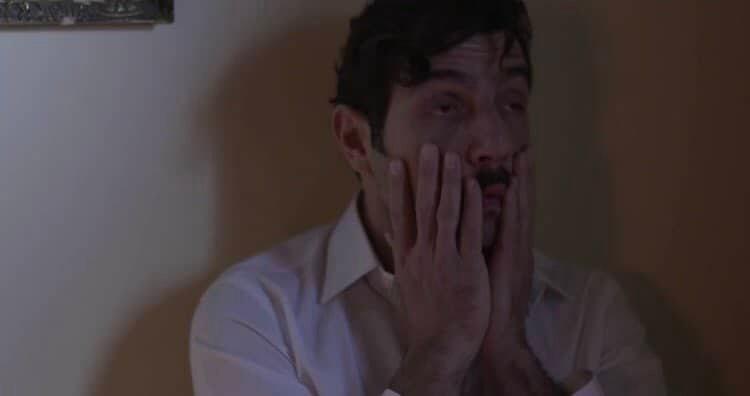 Άγριες Μέλισσες-Ζάχος- Άγριες Μέλισσες-Ζάχος-