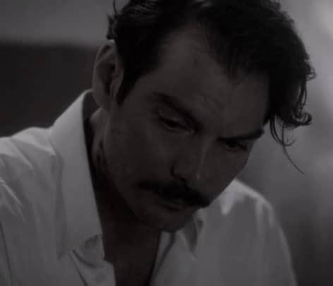 Άγριες Μέλισσες-Κωνσταντής- Άγριες Μέλισσες-Κωνσταντής-