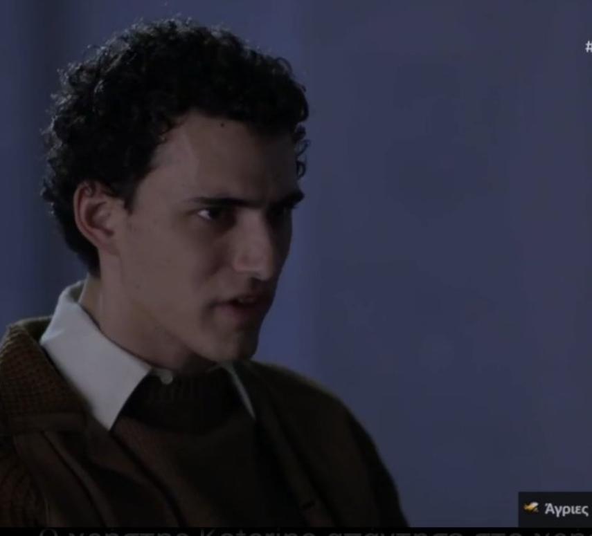 Άγριες-Μέλισσες-Θανασάκης