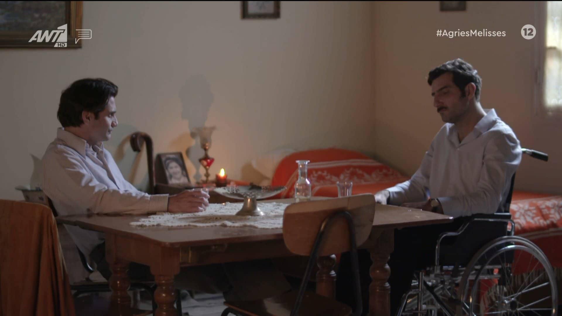 Άγριες Μέλισσες-Πέτρος-Ζάχος- Άγριες Μέλισσες-Πέτρος-Ζάχος-