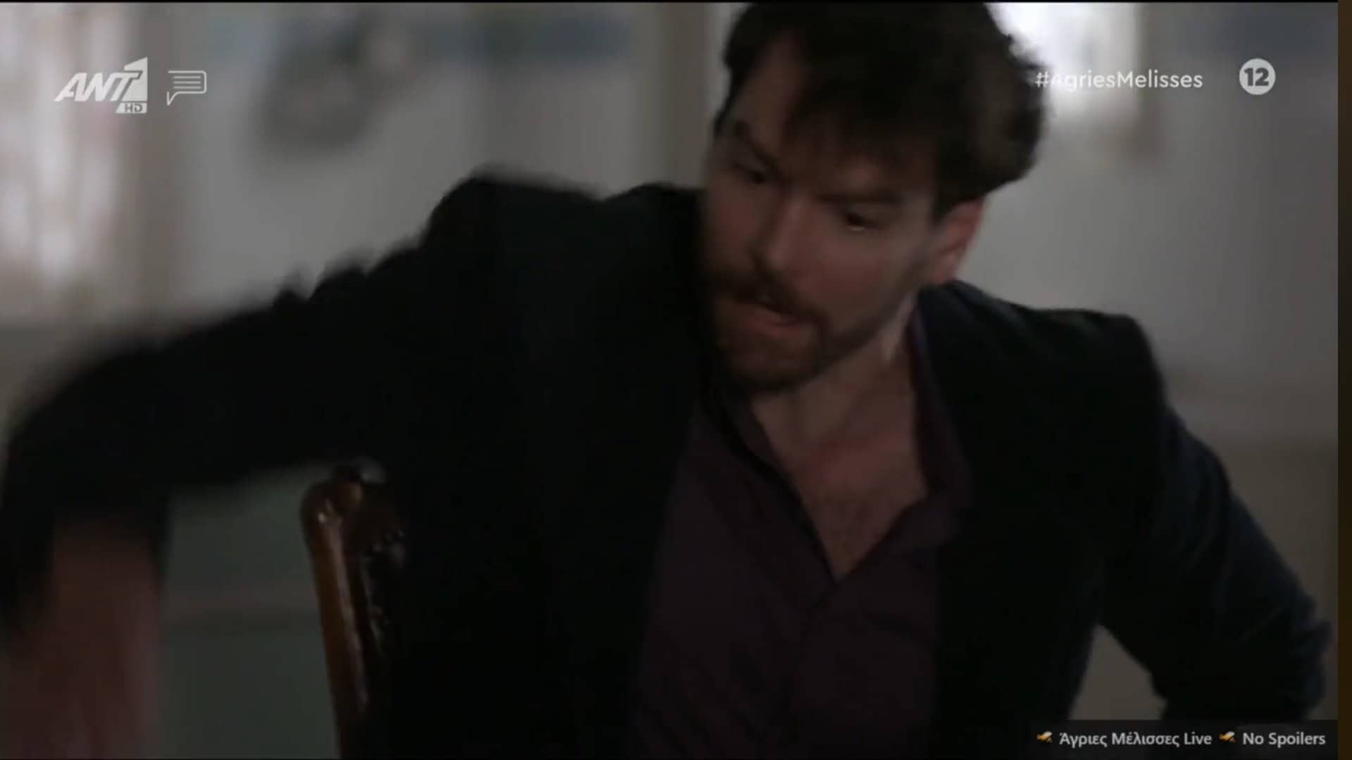 Άγριες Μέλισσες-Κωνσταντής-