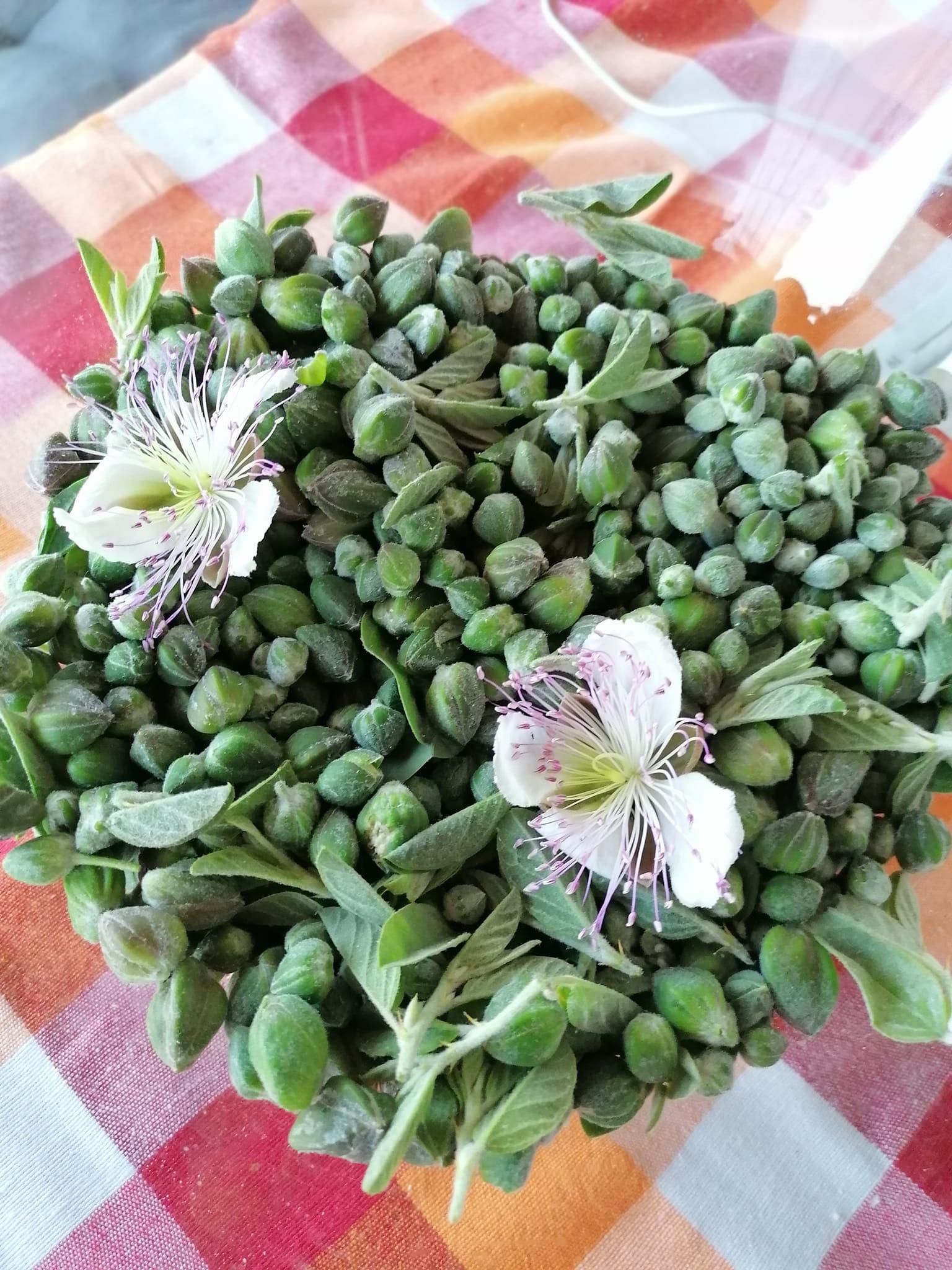 Πως -να -αποθηκέυσεις- την- κάπαρη-