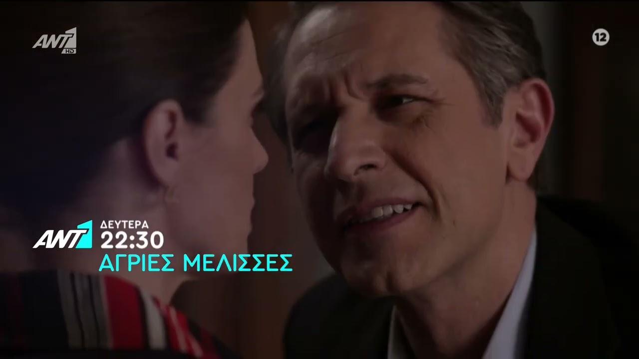 Άγριες Μέλισσες-Ζωή-Ακύλας- Άγριες Μέλισσες-Ζωή-Ακύλας-