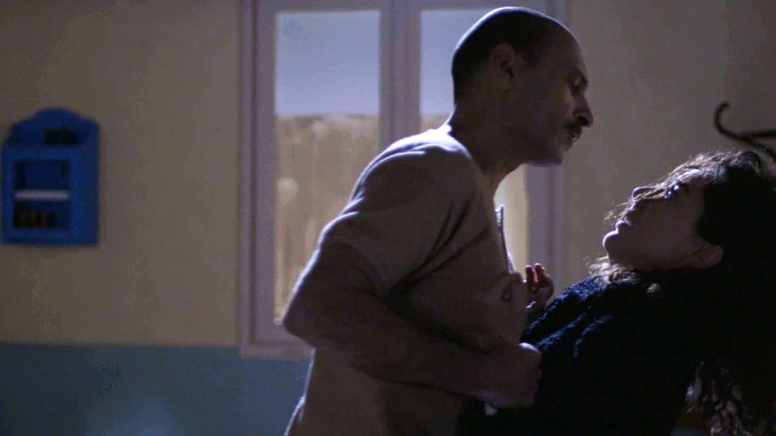 Άγριες Μέλισσες-Πηνελόπη- Άγριες Μέλισσες-Πηνελόπη-